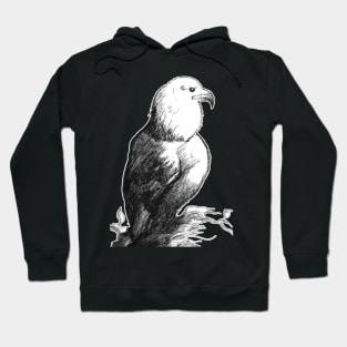 Ink sketch - bald eagle 21/02/23 Hoodie